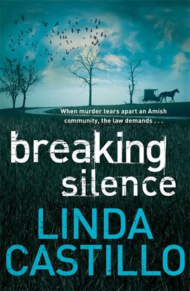 Book cover for Breaking Silence