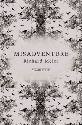 Book cover for Misadventure