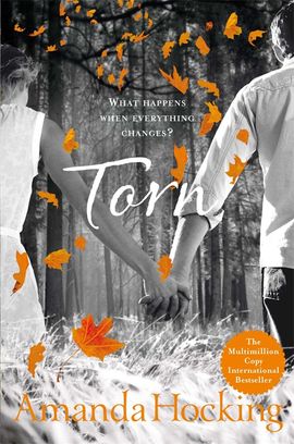 Book cover for Torn