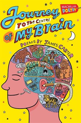 Book cover for Journey to the Centre of My Brain