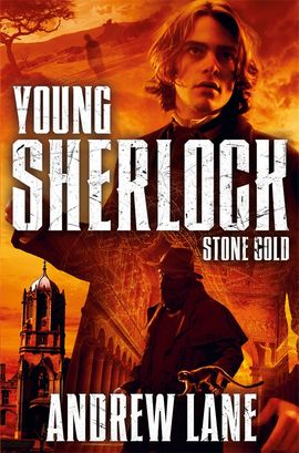 Book cover for Stone Cold