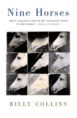 Book cover for Nine Horses