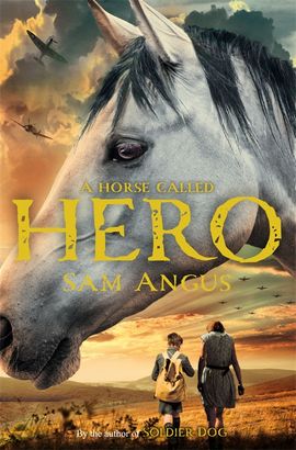 Book cover for A Horse Called Hero