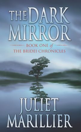 Book cover for The Dark Mirror