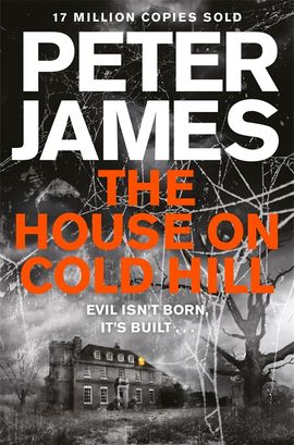 Book cover for The House on Cold Hill