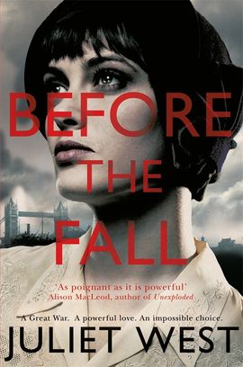 Book cover for Before the Fall