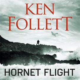 Book cover for Hornet Flight