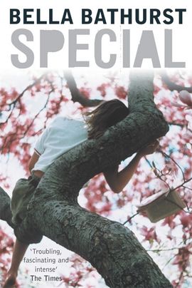 Book cover for Special