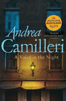 Book cover for A Voice in the Night