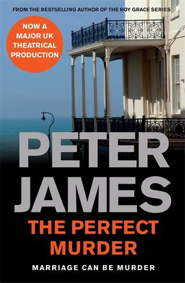 Book cover for The Perfect Murder