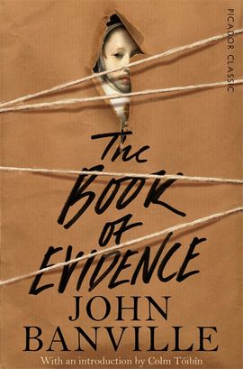 Book cover for The Book of Evidence