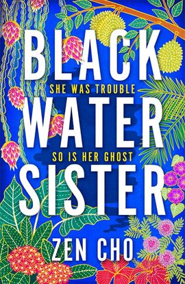 Book cover for Black Water Sister