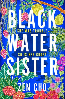 Book cover for Black Water Sister