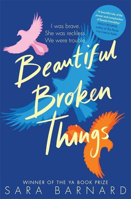 Book cover for Beautiful Broken Things