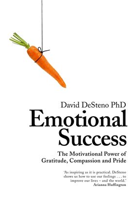 Book cover for Emotional Success