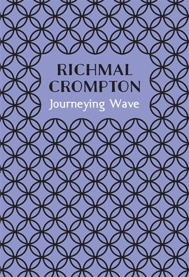 Book cover for Journeying Wave