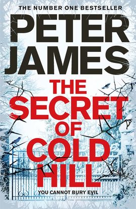 Book cover for The Secret of Cold Hill