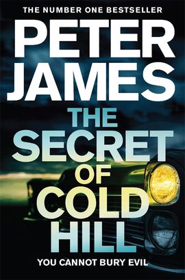 Book cover for The Secret of Cold Hill