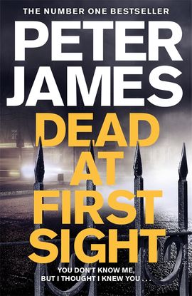 Book cover for Dead at First Sight