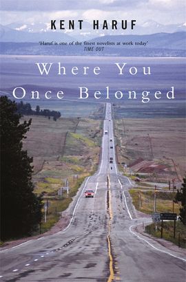 Book cover for Where You Once Belonged