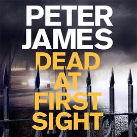 Book cover for Dead at First Sight