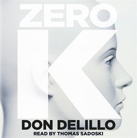 Book cover for Zero K