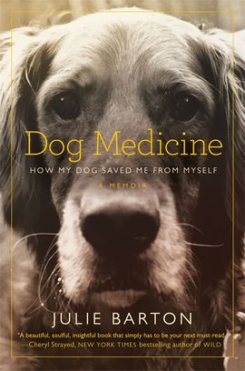 Book cover for Dog Medicine