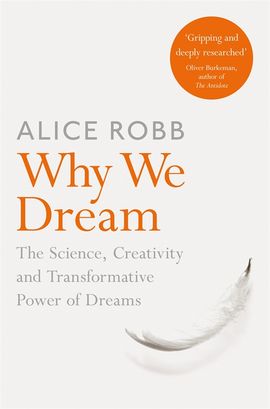 Book cover for Why We Dream