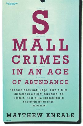 Book cover for Small Crimes in an Age of Abundance