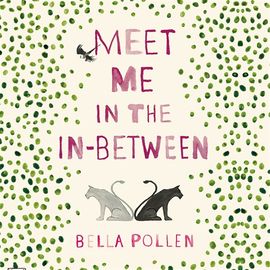 Book cover for Meet Me in the In-Between