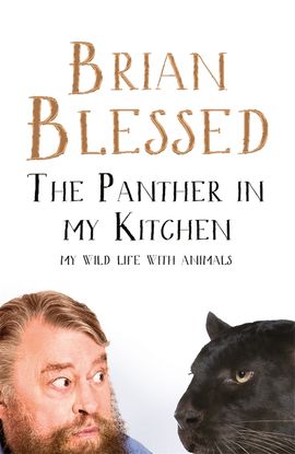 Book cover for The Panther In My Kitchen