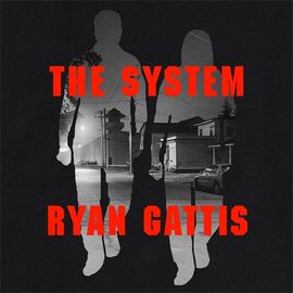 Book cover for The System