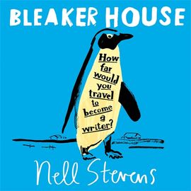 Book cover for Bleaker House