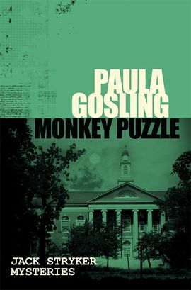 Book cover for Monkey Puzzle