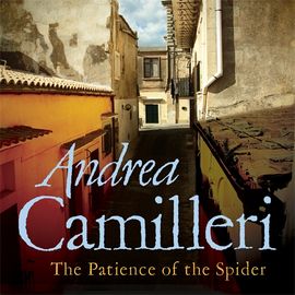 Book cover for The Patience of the Spider