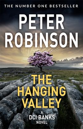 Book cover for The Hanging Valley