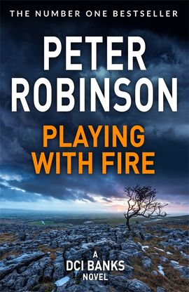 Book cover for Playing With Fire