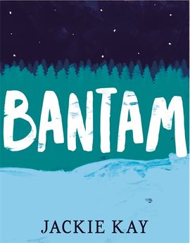 Book cover for Bantam