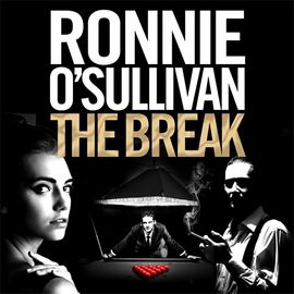 Book cover for The Break