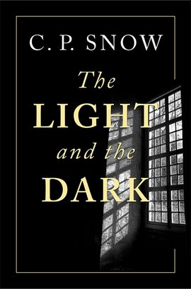 Book cover for The Light and the Dark