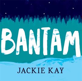 Book cover for Bantam