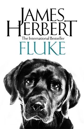 Book cover for Fluke