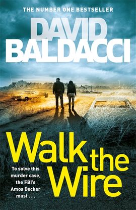 Book cover for Walk the Wire