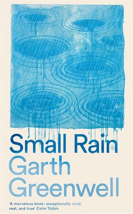 Book cover for Small Rain