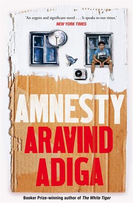 Book cover for Amnesty