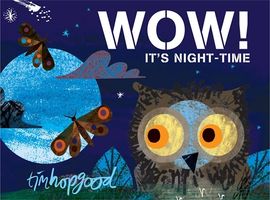 Book cover for WOW! It's Night-time