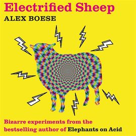 Book cover for Electrified Sheep