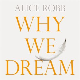 Book cover for Why We Dream