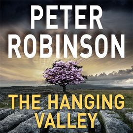 Book cover for The Hanging Valley