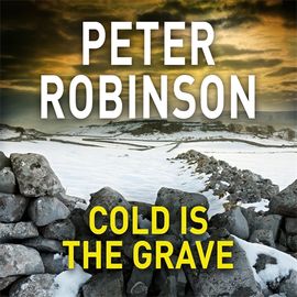 Book cover for Cold is the Grave